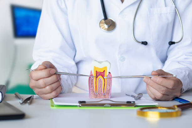 Best Emergency Wisdom Tooth Extraction in Mauston, WI